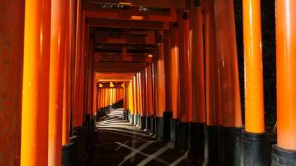 千本鳥居