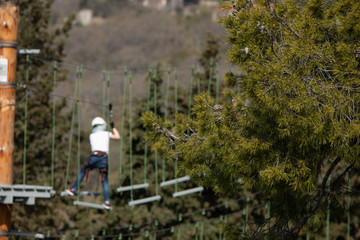 Blurred boy climbing in a rope park. A big pine in the foreground