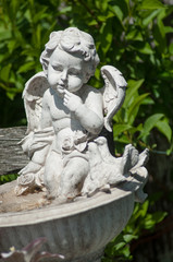 Fototapeta na wymiar closeup of stoned angel on tomb in a cemetery