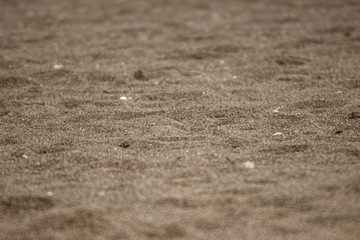 Beach Sand 2