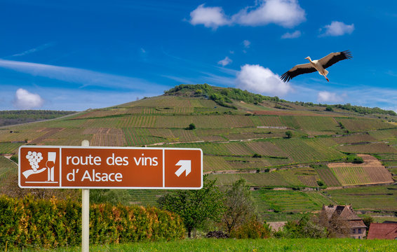Wegweiser Weinstra&szlig;e Elsass mit Weinberg und Storch im Flug