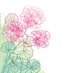 Corner bunch with outline pink Geranium or Cranesbills flower and ornate leaf on the pastel green background.