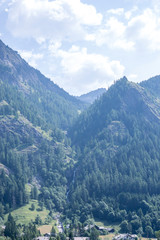 Alpine wood in the Gressoney valley near Monte Rosa