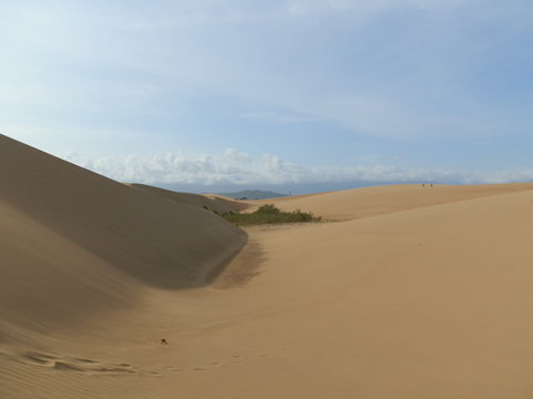 Medanos de Coro, estado Falc&oacute;n, Venezuela