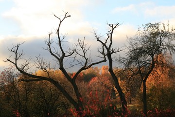 Fototapeta na wymiar colorful autumn landscape near river