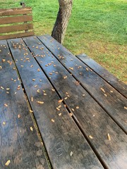 Several wooden seats in city parks.