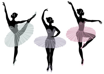 Collection. Silhouette of a cute lady, she is dancing ballet. The girl has a beautiful figure. Woman ballerina. Vector illustration set