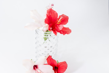 bouquet of red and pink hibiscus in glass vase