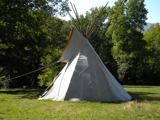 Wigwam. Stands on the grass in the forest © Andrei