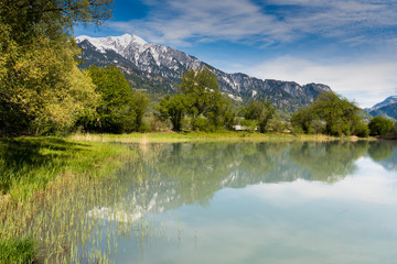 springtime landscape with snowcapped mountains and pond in green forest