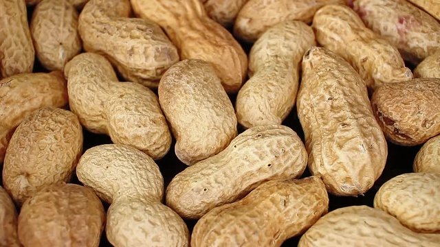 Groundnut peanut on rotating plate seamless looping hd background cover video