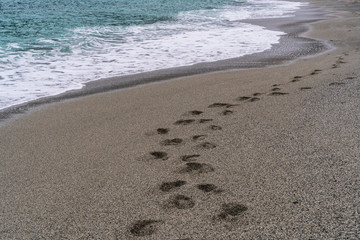 Footprints in the sand of the Monterosso al Mare beach in Cinque Terre, Italy, creating an s shaped pattern in the wet sand. A morning walk on the beach at the seaside.
