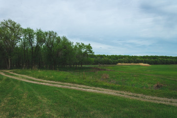 Spring landscape of nature of Russia. Forest landing near the river. Green grass and road. welcome to Russia