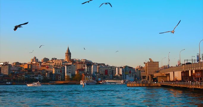 Galata Tower in istanbul City of Turkey.  View of the Istanbul City of Turkey with bosphorus, seagulls and boats.