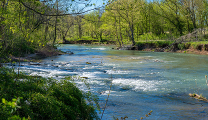 Panoramic view of Heron bird phishing, river in the forest, Lake Park Bella Vista City in Northwest Arkansas, crystal clear water creek