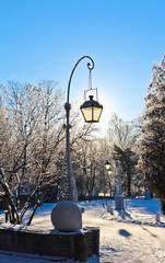 Latern in a park. Winter