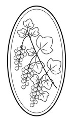 A branch of a beautiful currant berry, medicinal plant. Useful delicious berries nutrition and medicine. Graphic image in frame. Vector illustration.