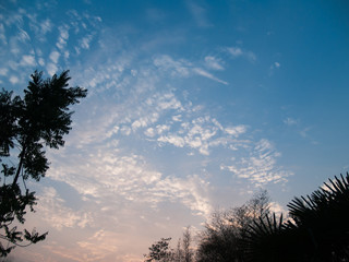 The image of the sky with clouds and trees at the corner of the picture after sunset