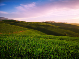 Obraz premium Hilly landscape at sunset.
