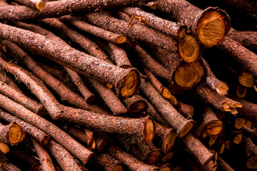 Cut tree timber. Background image of a cut tree. Pile of wood logs. Natural wooden background.