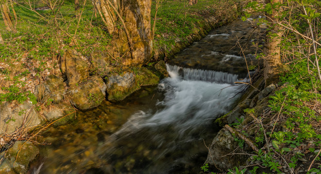 Branna river in spring sunny evening with fresh green grass in alley