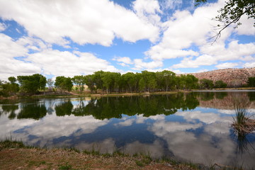 Reflections in Arizona