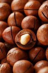 Macadamia nuts in large quantities in bulk in the form of the texture of fresh natural fruit...