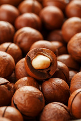 Macadamia nuts in large quantities in bulk in the form of the texture of fresh natural fruit shelled one nut in the frame close-up view