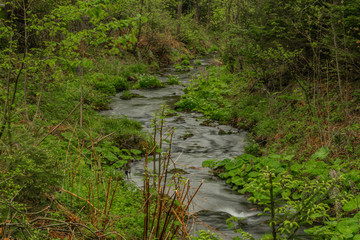 Spring small river Olesnice near Zlate Hory town