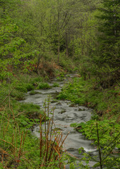 Fototapeta na wymiar Spring small river Olesnice near Zlate Hory town