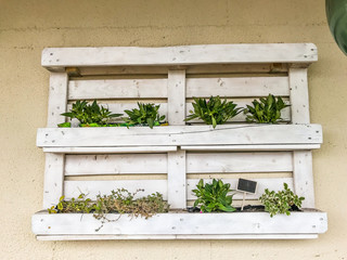 craft planter derived from pallets