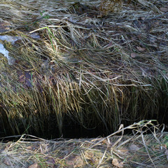 Deep trench and grass