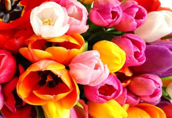 Obraz na płótnie Canvas Beautiful bright spring tulip flowers as background