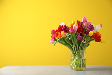 Vase with beautiful spring tulip flowers on color background. Space for text