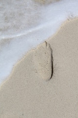 bbq bar wedding food animals beach