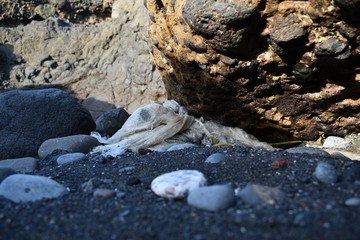 Plástico en la playa