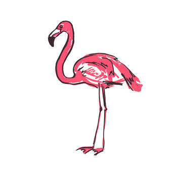 Stylized flamingo painted by hand in ink