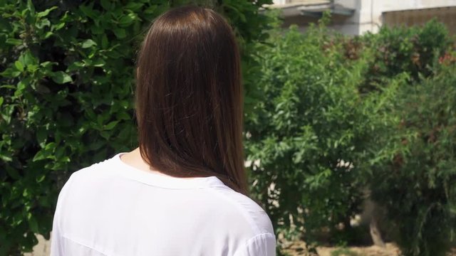 Back view of young woman in white t-shirt walking in city and sliding hand against fresh green foliage in slow motion. Female hand touching scratchy surface of bright spring bushes on sunny summer day