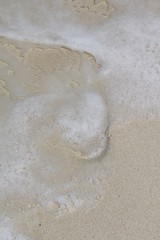 halloween beach bbq bar festival