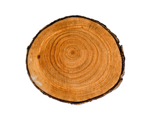 Smooth wood slice cut from the woods. Neutral brown sustainable tree rings made of hardwood.