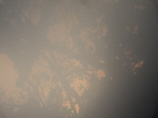 Abstract images over trees, blurred