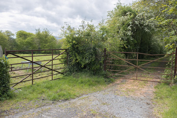 Two Rusty Gates and Lane in Countryside