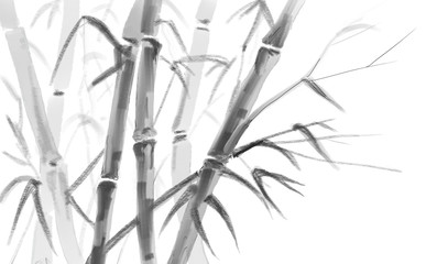 Bamboo on an isolated background.