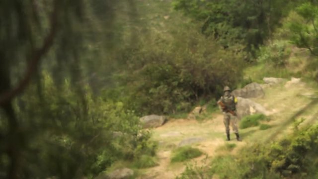 Rack focus from close up of pine needles blowing in the wind, to a soldier with an assault rifle standing in a clearing amid thick foliage