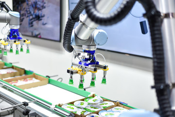 Mechanical robot with artificial intelligence sorts products on the conveyor