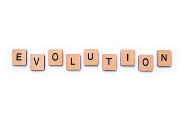The word EVOLUTION