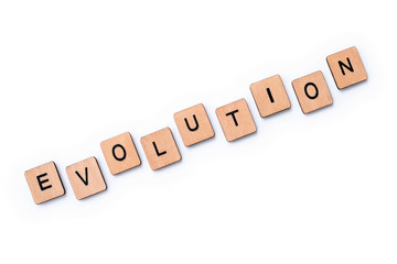 The word EVOLUTION