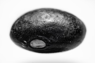 Macro photo of white rice and black beans, photographed in Minas Gerais, Brazil