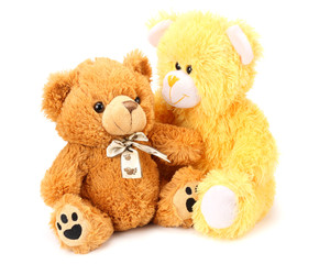 Two toy teddy bears isolated on white background