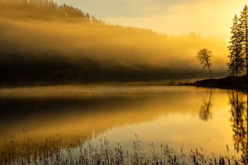 Foggy autumnal surise at Jonsvatnet, Norway